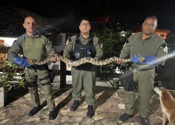 Moradores da Região Oceânica de Niterói encontram serpente dentro de residência e acionam a Guarda Municipal