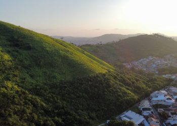 Rio inicia maior projeto de reflorestamento na Serra da Posse com investimento de R$ 10 milhões