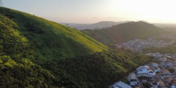 Rio inicia maior projeto de reflorestamento na Serra da Posse com investimento de R$ 10 milhões