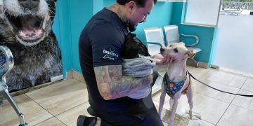 Especialistas alertam para aumento de crises de ansiedade e fugas de pets durante o período junino