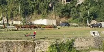 Jacaré é visto tomando sol na margem do Canal do Camboatá, em Niterói