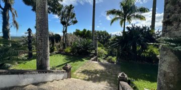Sítio Roberto Burle Marx: patrimônio cultural que integra natureza, arte e memória brasileira