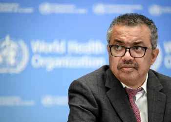 OMS confirma 11 casos de hantavírus no navio MV Hondius, com três óbitos