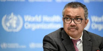 OMS confirma 11 casos de hantavírus no navio MV Hondius, com três óbitos