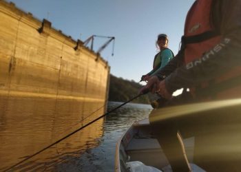 Pesquisa no Rio de Janeiro avalia impacto de contaminantes emergentes nos ecossistemas aquáticos