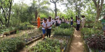 Semana do meio ambiente em Niterói promove ações educativas e de sustentabilidade