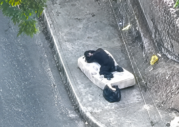 Homem suspeito de tráfico é preso enquanto dormia em São Gonçalo