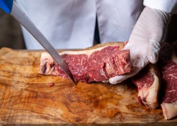 UE proíbe importação de produtos pecuários do Brasil por uso excessivo de antimicrobianos