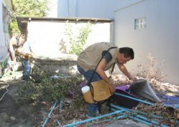 São Gonçalo mantém índice de infestação do Aedes aegypti em 0,6% com ações de prevenção contínuas