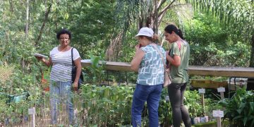 Viveiro de mudas de Niterói apoia reflorestamento, biodiversidade e educação ambiental