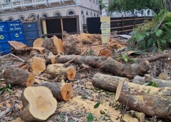 Eduardo Paes enfrenta críticas por licenças ambientais e projetos de destruição patrimonial