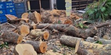 Eduardo Paes enfrenta críticas por licenças ambientais e projetos de destruição patrimonial