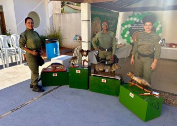 Guarda Civil de Niterói promove ações ambientais em comemoração ao segundo aniversário da AMARCA