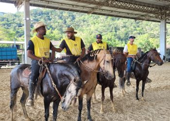 Primeira Expo do Mangalarga Marchador valoriza cultura rural e setor agropecuário em Niterói