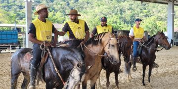 Primeira Expo do Mangalarga Marchador valoriza cultura rural e setor agropecuário em Niterói