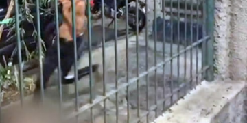 Torcedores do Vasco são espancados após empate contra o Flamengo no Maracanã