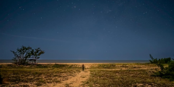Parque Lagoa do Açu pode obter certificação de céu escuro para observação astronômica