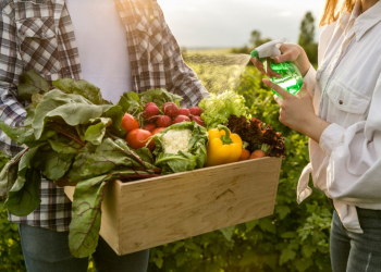 Rio cria selo para comércio que valoriza alimentos da agricultura familiar