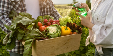 Rio cria selo para comércio que valoriza alimentos da agricultura familiar
