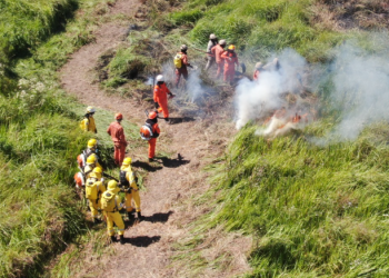Treinamento do CBMERJ reforça combate a incêndios florestais em Resende