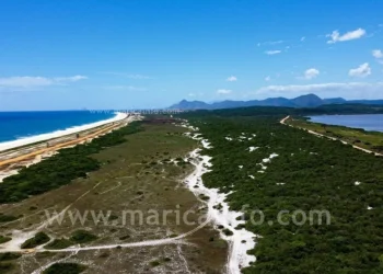 APA de Maricá, criada em 1984, resguarda restinga e biodiversidade ameaçadas