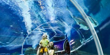 AquaRio oferece 50% de desconto para mães residentes no Rio de Janeiro durante o Maio das Mães