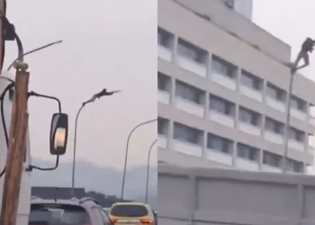 Homem é flagrado pendurado em poste durante furto de fios no Viaduto do Gasômetro, no Rio