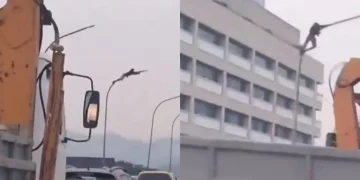 Homem é flagrado pendurado em poste durante furto de fios no Viaduto do Gasômetro, no Rio