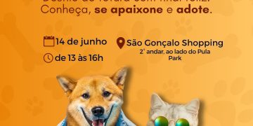 Evento promove adoção de cães adultos e idosos no São Gonçalo Shopping