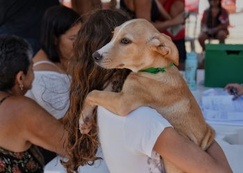 Prefeitura de Maricá promove campanha de adoção de cães e gatos em Ponta Negra