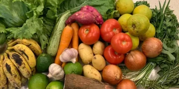 Governo do Rio planeja redução de até 20% em gastos administrativos na Secretaria de Agricultura