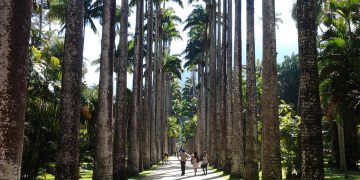 Jardim Botânico do Rio conquista prêmio internacional por experiência de destaque