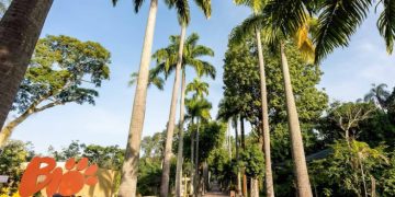 BioParque do Rio oferece promoção de ingresso com acompanhante grátis até 28/06