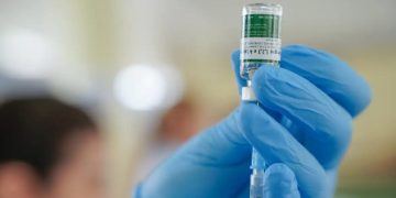 Anvisa cria grupo para avaliar segurança da vacina contra a dengue do Butantan