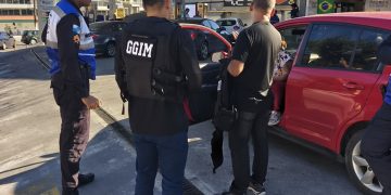 Polícia de Niterói prende suspeita de exercer ilegalmente cirurgia veterinária sem estrutura adequada