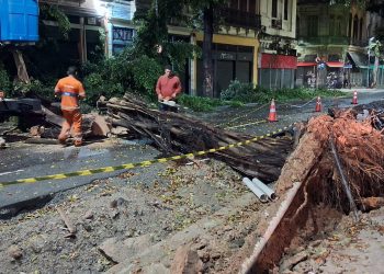Chuvas intensas causam quedas de árvores e bloqueios no trânsito do Rio de Janeiro