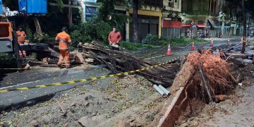 Chuvas intensas causam quedas de árvores e bloqueios no trânsito do Rio de Janeiro