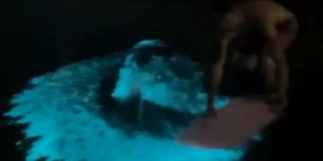 Lagoa de Piratininga apresenta espetáculo raro de bioluminescência na noite do domingo