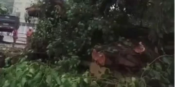 Árvore de grande porte cai no Leblon, causando interdição e lentidão no trânsito