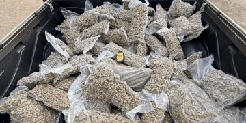 Polícia Federal apreende 200 kg de maconha destinados a comunidades do Rio na Bahia