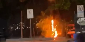 Fio energizado cai e provoca incêndio em árvore na Avenida Prefeito Sílvio Picanço, em Niterói