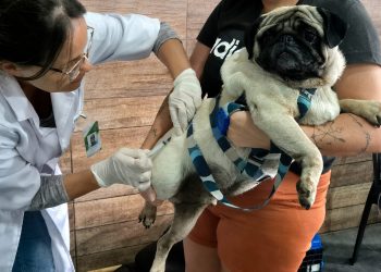 Vacinação antirrábica gratuita para pets é realizada em São Gonçalo neste sábado