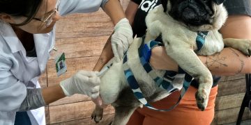 Vacinação antirrábica gratuita para pets é realizada em São Gonçalo neste sábado