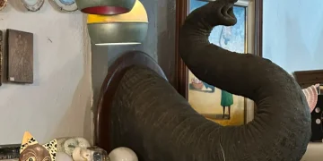 Polícia Federal apreende peça de possível tromba de elefante asiático em antiquário no Rio