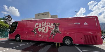 Vila Kennedy recebe ação gratuita de vacinação antirrábica para cães e gatos