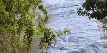 Polícia investiga causas da morte de turista canadense na Trilha do Primata, no Parque da Tijuca
