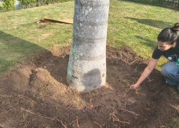 Prefeitura de Maricá promove encontros na Horta Comunitária de Ponta Negra para práticas de bem-estar