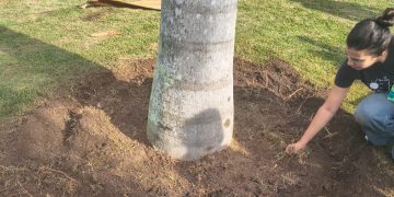 Prefeitura de Maricá promove encontros na Horta Comunitária de Ponta Negra para práticas de bem-estar
