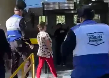 Mulher é presa por exercício ilegal da medicina veterinária em Niterói