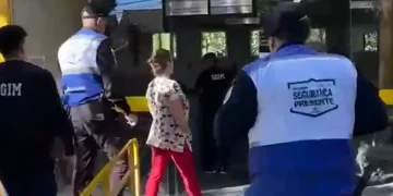 Mulher é presa por exercício ilegal da medicina veterinária em Niterói